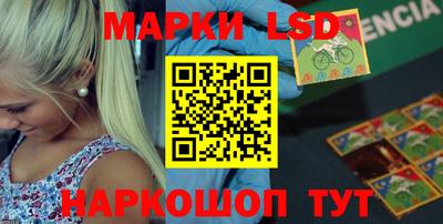 PSILOCYBIN Гатчина