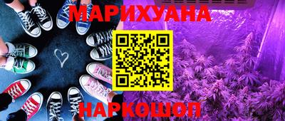 PSILOCYBIN Гатчина