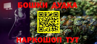 PSILOCYBIN Гатчина