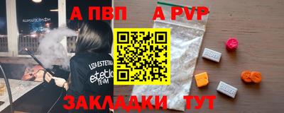 PSILOCYBIN Гатчина