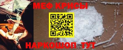 PSILOCYBIN Гатчина