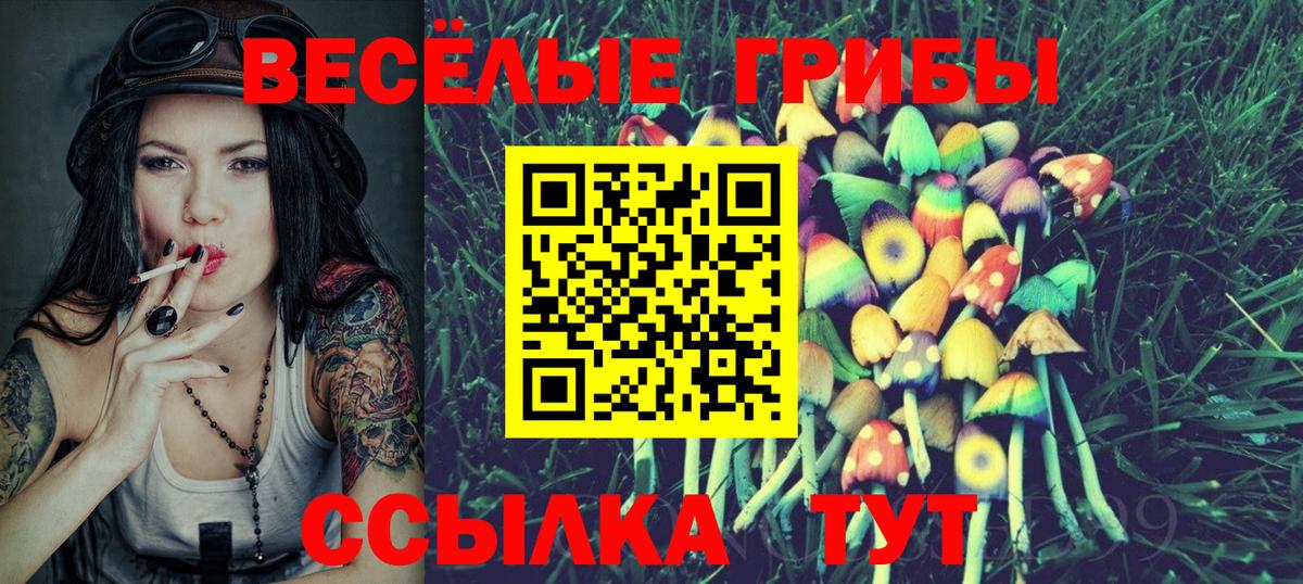 Назарово  цена наркотик  Вход с VPN  Галлюциногенные грибы прущие грибы  Галлюциногенные грибы прущие грибы 